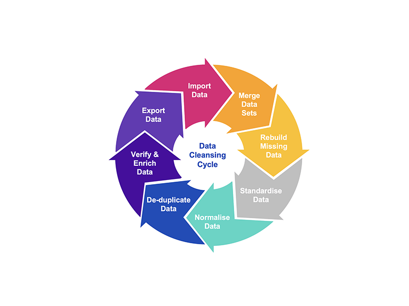 Click to view enlarged image of Data Cleansing Cycle