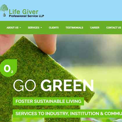 Life Giver Professional Services