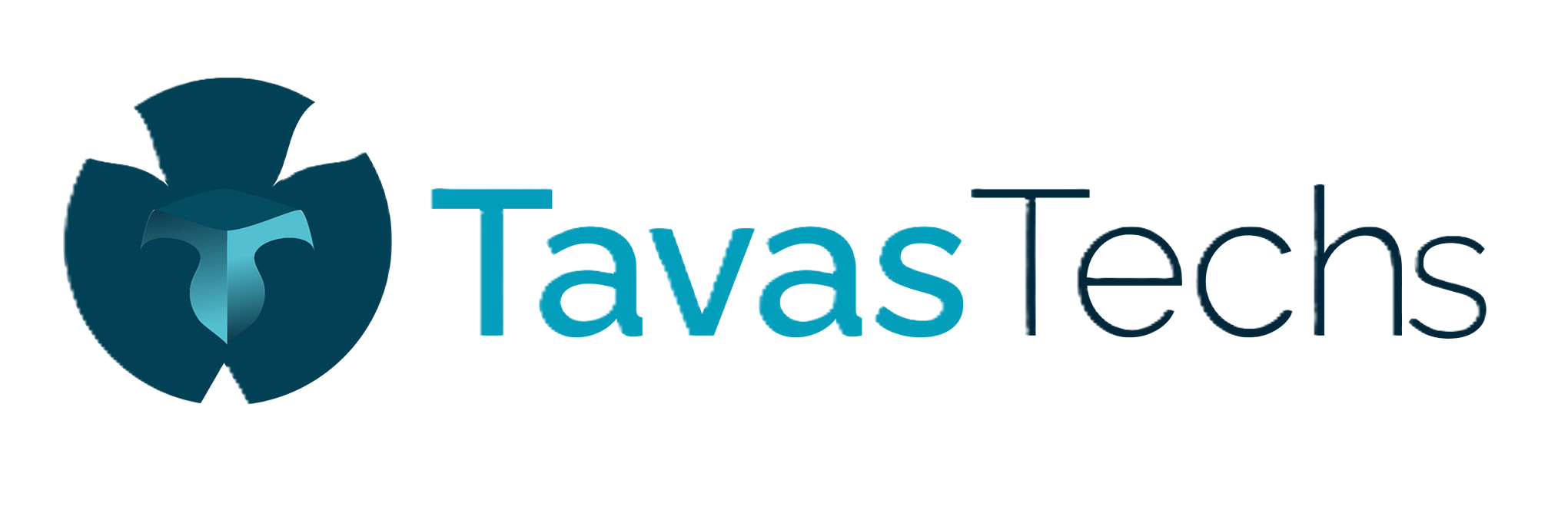 TavasTechs Logo
